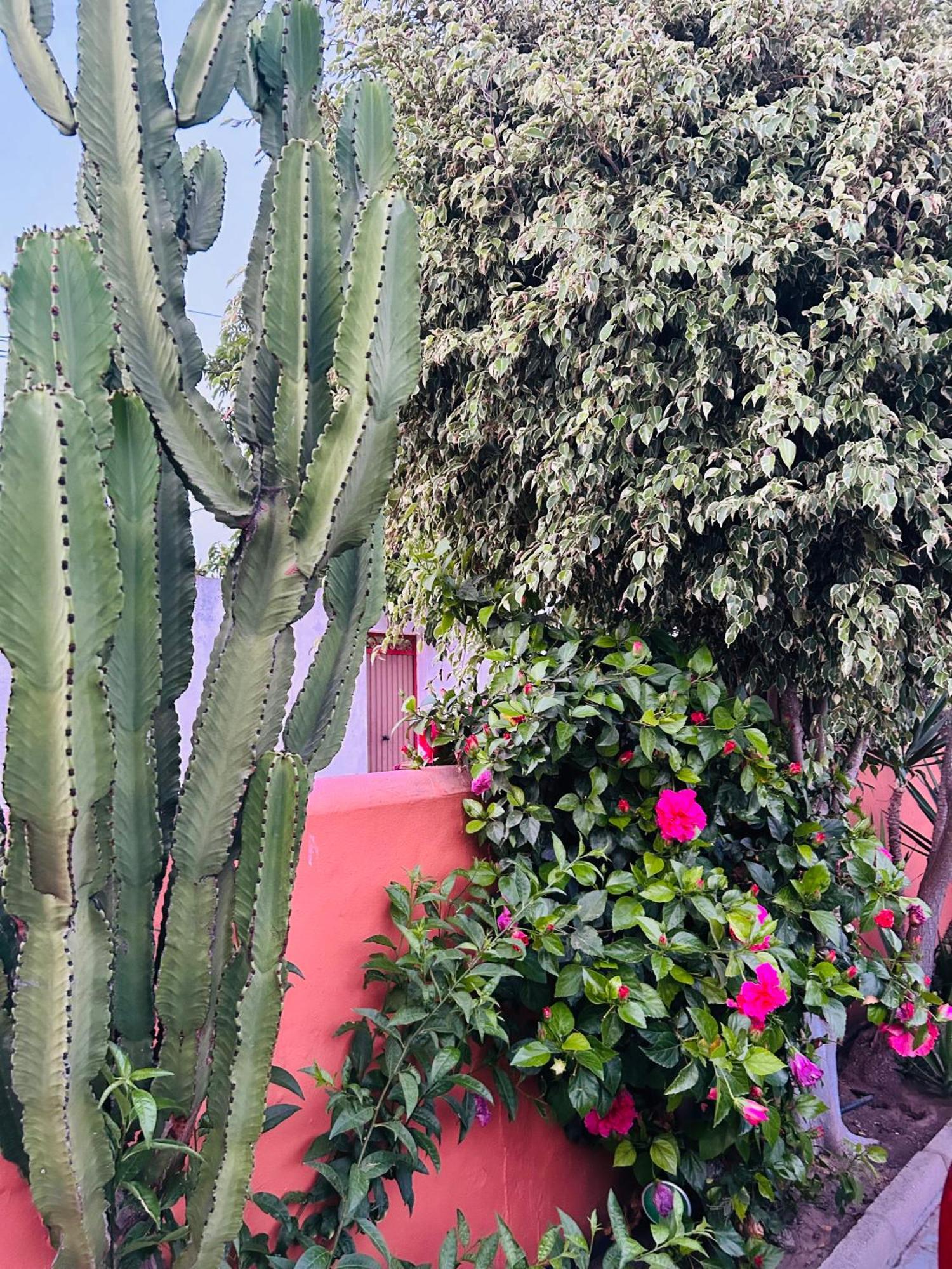 Hostal Cafeteria El Mero زاهورا المظهر الخارجي الصورة